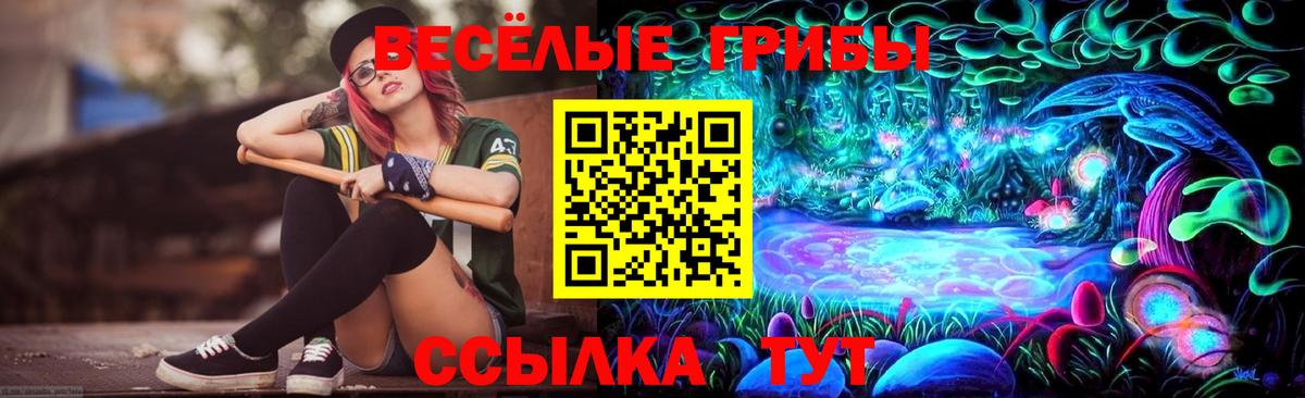 Псилоцибиновые грибы GOLDEN TEACHER  где можно купить   Мариинск  Вход с VPN 
